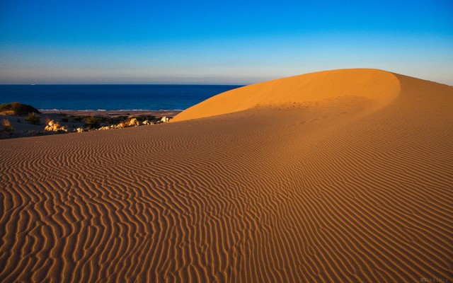 Patara